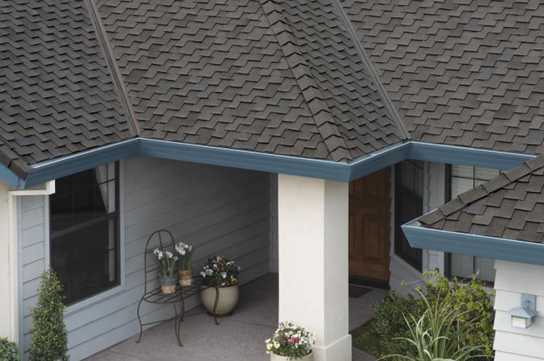 Big Dog Roofing Images